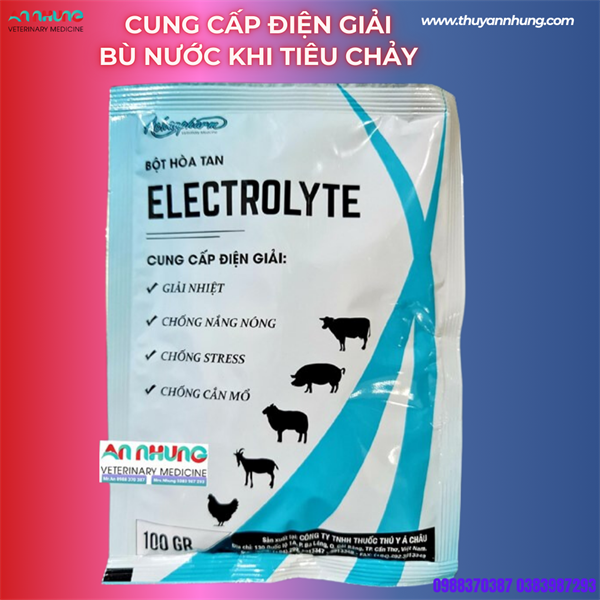 á Châu Electrolyte - Gói 100gr
