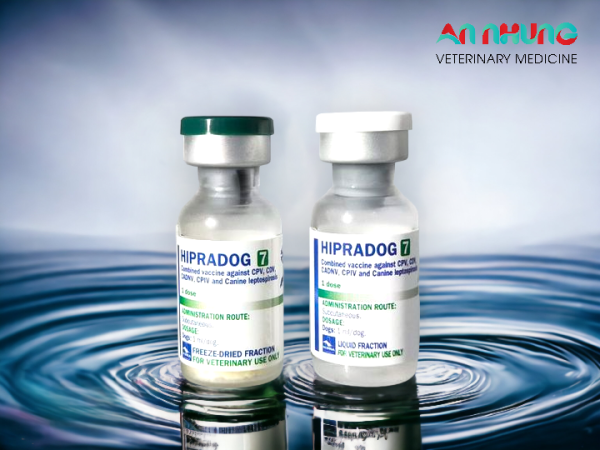 Vaccine Hipra Dog - 7 bệnh Chó - Ảnh 4