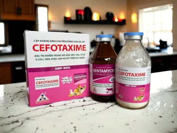 SAGOPHAR CEFOTAXIM + GENTAMYCIN - Cặp 250ml - Ảnh 3