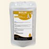 Á Châu BIO LAC - Men tiêu hóa cho cá 100gr - gói 100g