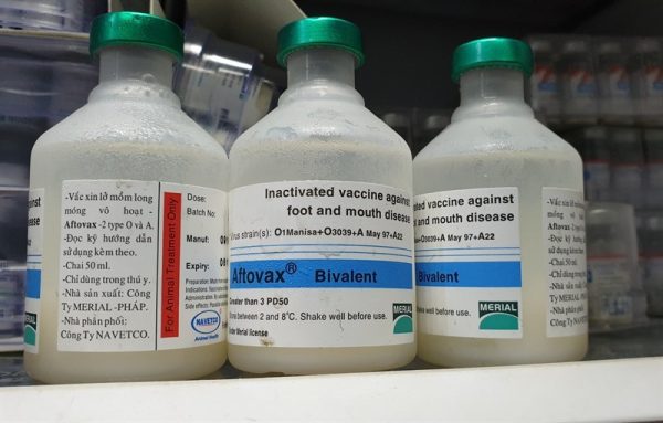 Vaccine Navetco AFTOVAX - LMLM - Đa Tuýp - Lọ 25 liều - Ảnh 2