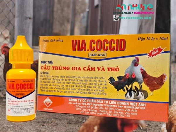 VIAVET Coccid Oral 10ml - Hộp 10 lọ - Ảnh 3