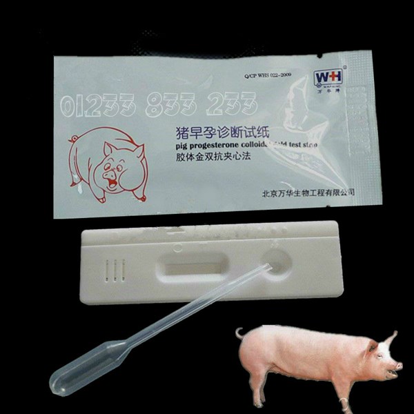 Que thử thai Heo - Cái
