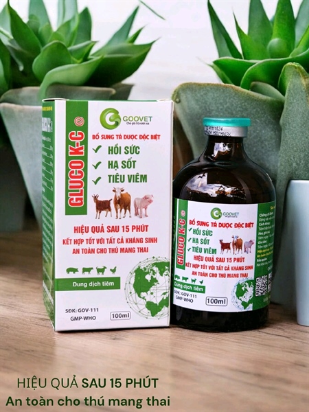 GOOVET GLUCO KC - Lọ 100ml