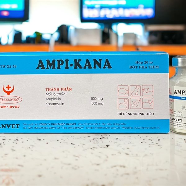 Hanvet Kana Ampi 1gr - Hộp 20 lọ