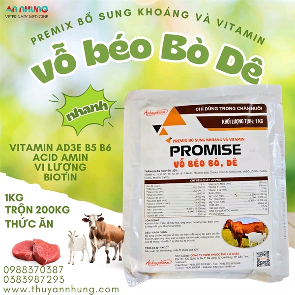 Á CHÂU PROMISE 1kg - Thùng 20kg