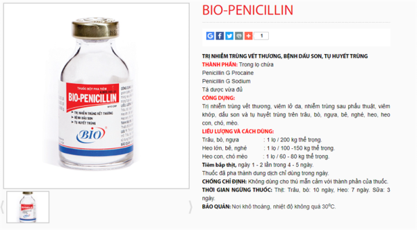 Bio Penicillin (4G) 20ml - Hộp 10 lọ - Ảnh 4