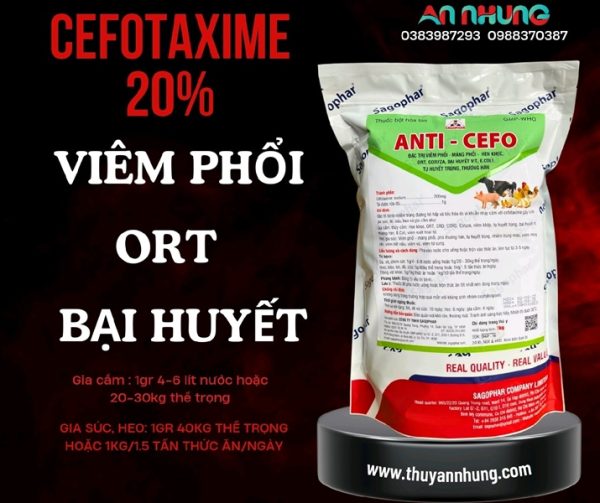 SAGOPHAR ANTI CEFO - Cefotaxime 1kg - Gói 10in1