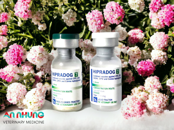 Vaccine Hipra Dog - 7 bệnh Chó - Ảnh 3