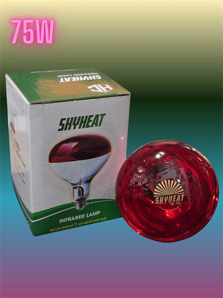 Bóng Sky Heat 75w - cái