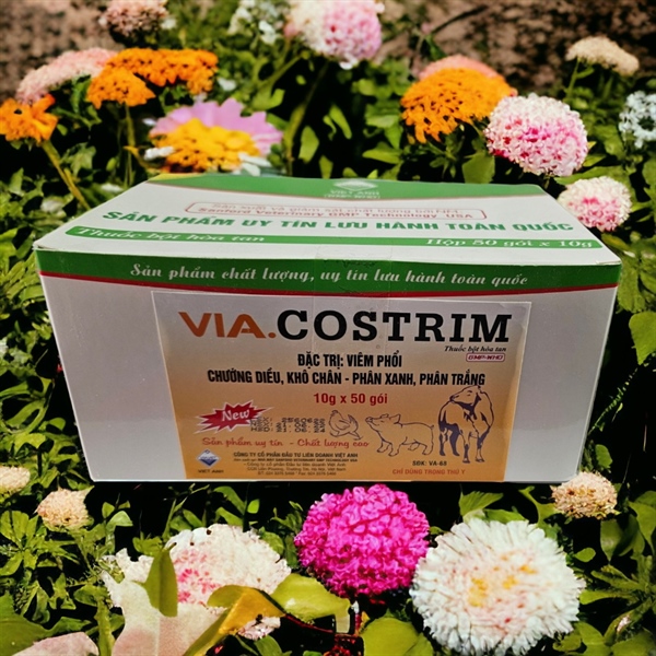 VIAVET Costrim 10gr - Hộp 50 gói