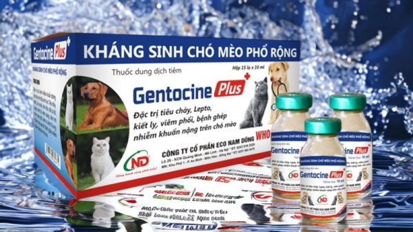 ND Gentocine Plus 5ml - Hộp 15 lọ