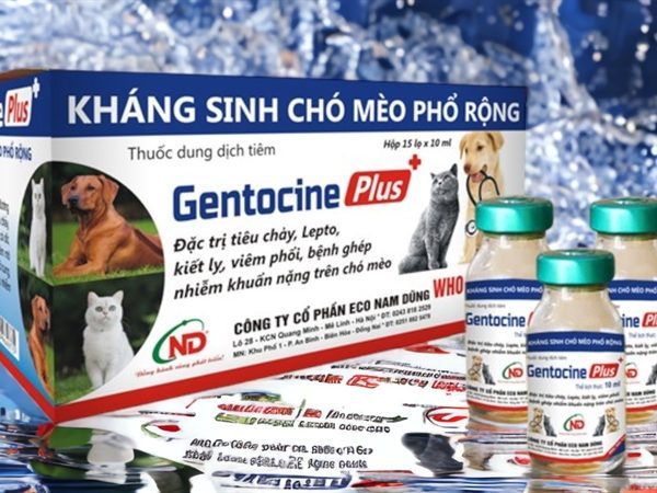 ND Gentocine Plus 5ml - Hộp 15 lọ