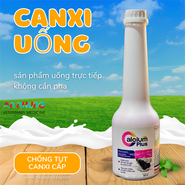 Á CHÂU CALCIUM PLUS 500ml - Chai 500ml