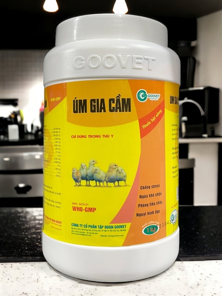 GOOVET ÚM GIA CẦM 1kg - Lon 1kg