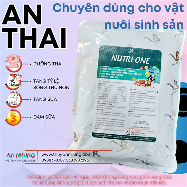 VB NUTRI ONE - An Thai - 1kg - Gói