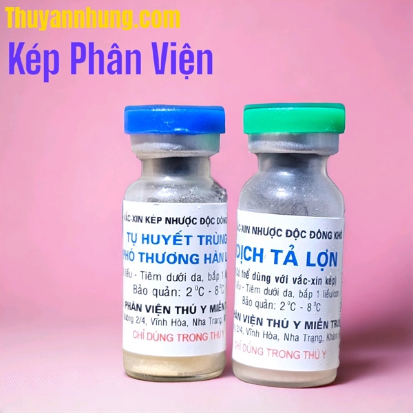 Vaccine Phân Viện Kép - cặp