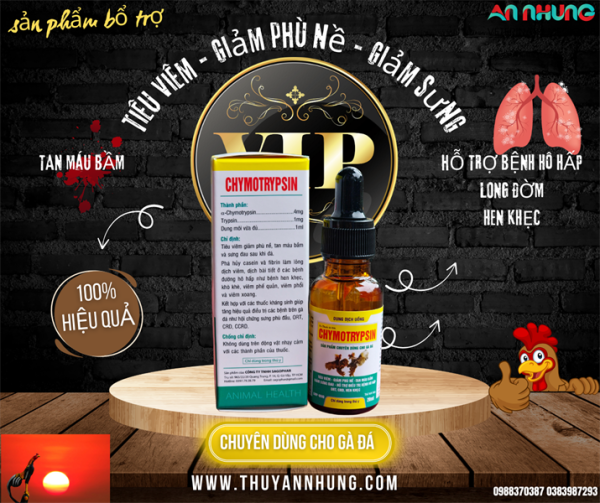 Sagophar Chymotrysin Gà đá 20ml - Chai 20ml - Ảnh 2