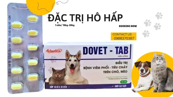Á CHÂU DOVET TAB (viên) - Hộp 100 viên - Ảnh 3