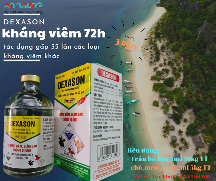 VIAVET DEXASON (72h) 100ml - Lọ