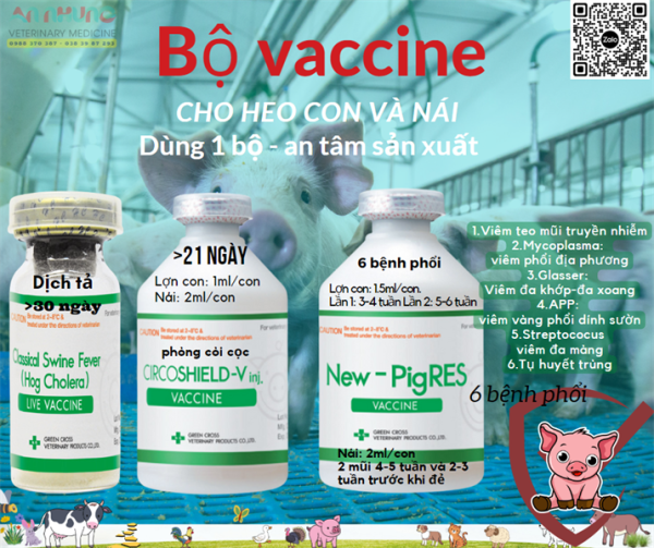 Vaccine Tigervet Classical 10 Liều - Lọ 10 liều - Ảnh 4
