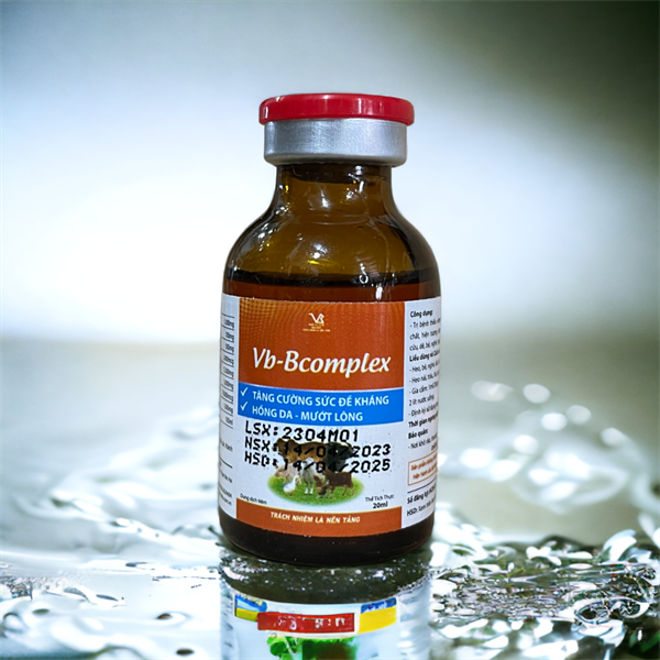VB Bcomplex - Hộp 10 lọ
