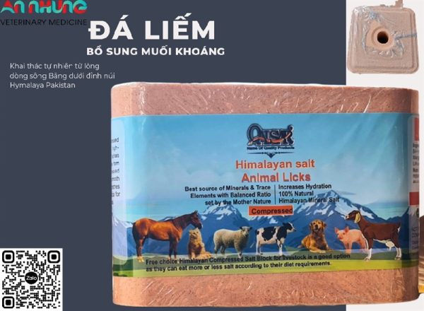 Đá liếm VUÔNG Đỏ Hymalaya Pakistan - 4 viên/ Thùng 16kg - Thùng - Ảnh 3