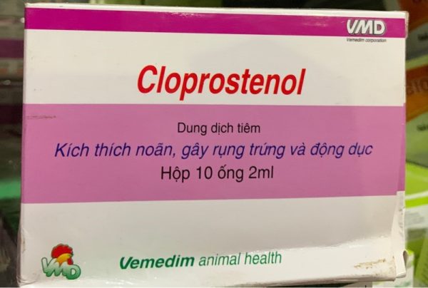 VMD Cloprosternol 2ml/ống - Hộp 20 ống - Ảnh 2