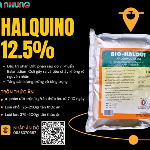 cv Halquinol 12.5% - 1kg xá - Gói