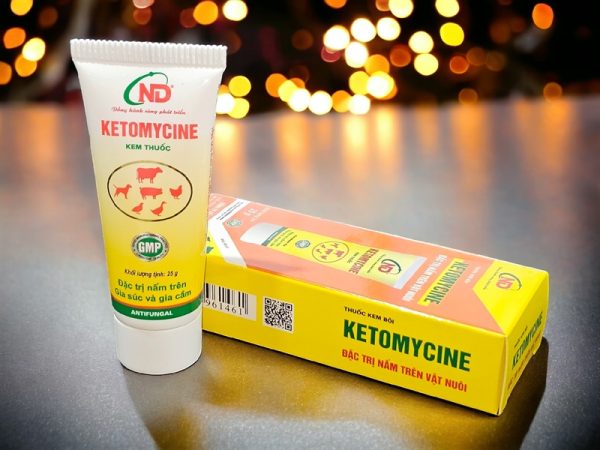 ND Ketomycin (Bôi Nấm) 25gr - Tuýp - Ảnh 3