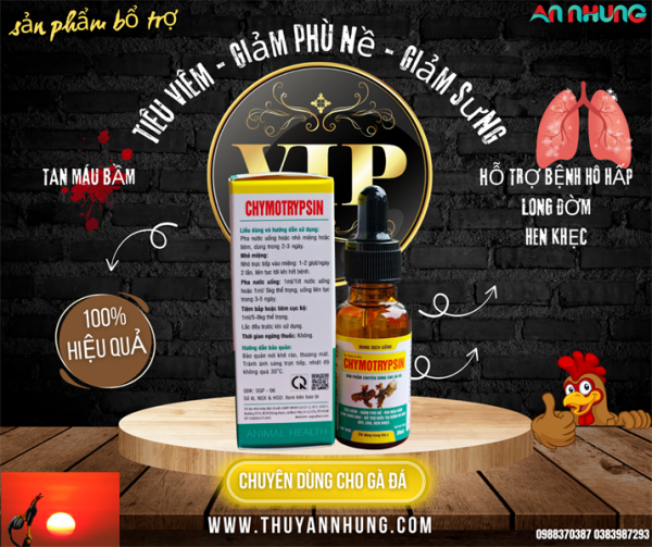 Sagophar Chymotrysin Gà đá 20ml - Chai 20ml - Ảnh 3