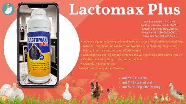 AGRIVIET LACTO MAX PLUS - Men tỏi Chịu kháng sinh 1 lít - Can - Ảnh 4