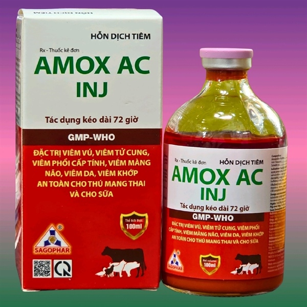 SAGOPHAR AMOX AC INJ 100ml - Đỏ 72h - CHAI 100ML