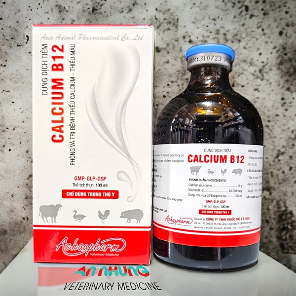 Á CHÂU CALCIUM B12 - Thùng 50 lọ