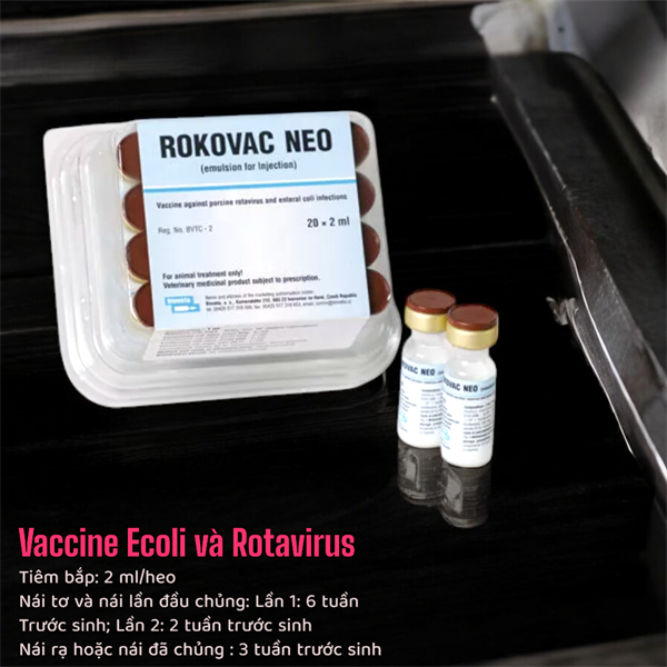 VACCINE ROKOVAC NEO 1 LIỀU - Hộp 20 lọ