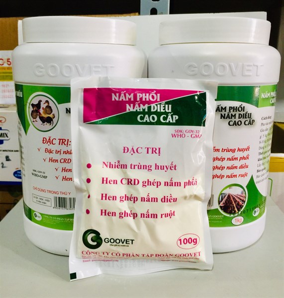 GOOVET NẤM PHỔI, NẤM DIỀU CAO CẤP 1kg - Lon 10in1