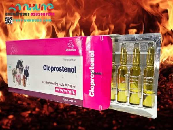 VMD Cloprosternol 2ml/ống - Hộp 20 ống - Ảnh 4