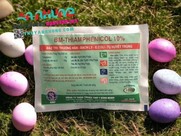 BM THIAMFENICOL - Bịch 10 gói - Ảnh 2