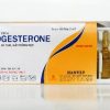 Hanvet Progesterol ống - Hộp 10 ống