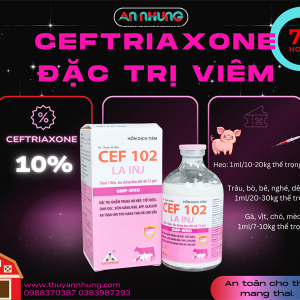 SAGOPHAR CEF 102 LA - 72h - Thùng 24 chai