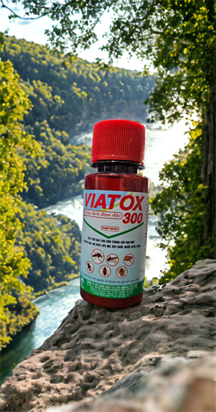 VIATOX 300 50ml - Thùng 160 lọ