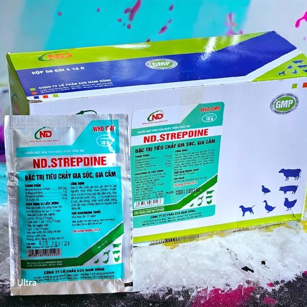 ND Strepdine 10gr - Gói