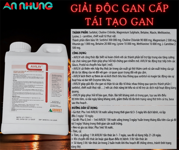 AGRI AVILIV CAN 5 LÍT - CAN 5 LÍT