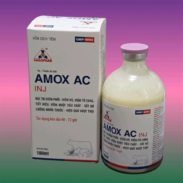 SAGOPHAR AMOX AC (AMOX CLAV) - TRẮNG - CHAI 100ML