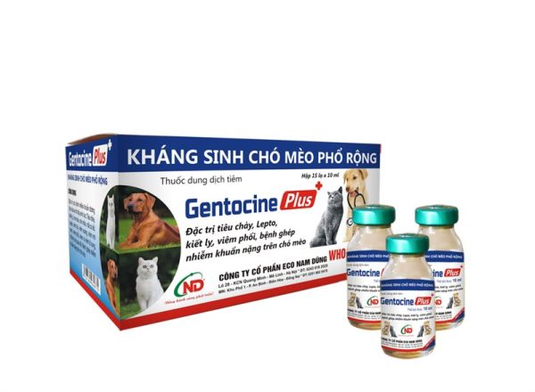 ND Gentocine Plus 5ml - Hộp 15 lọ - Ảnh 2