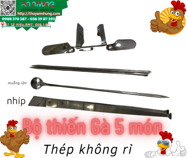 Bộ Thiến Gà - Bộ - Ảnh 2