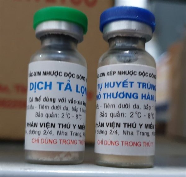 Vaccine Phân Viện Kép - cặp - Ảnh 3