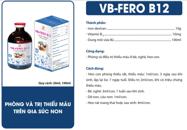 VB FERO B12 100ml - Phòng thiếu máu trên gia súc non - Thùng 30 chai - Ảnh 2