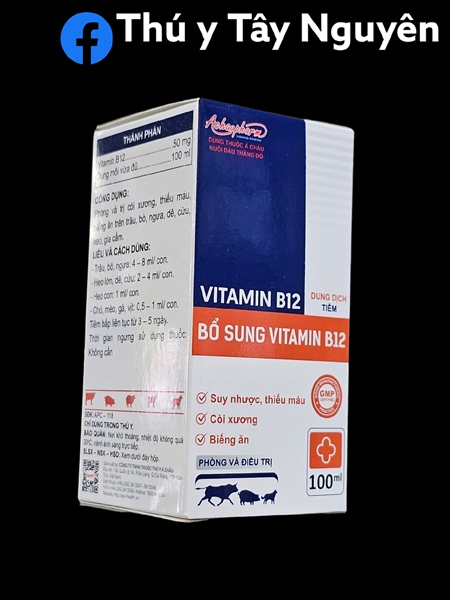 Á CHÂU VITAMIN B12 100ml - Lọ 100ml
