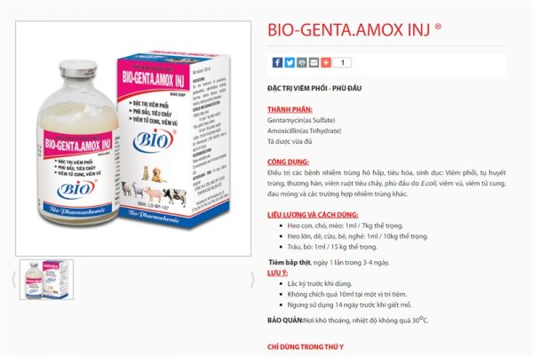 BIO GENTA AMOX - 100ml - Lọ 100ml - Ảnh 2